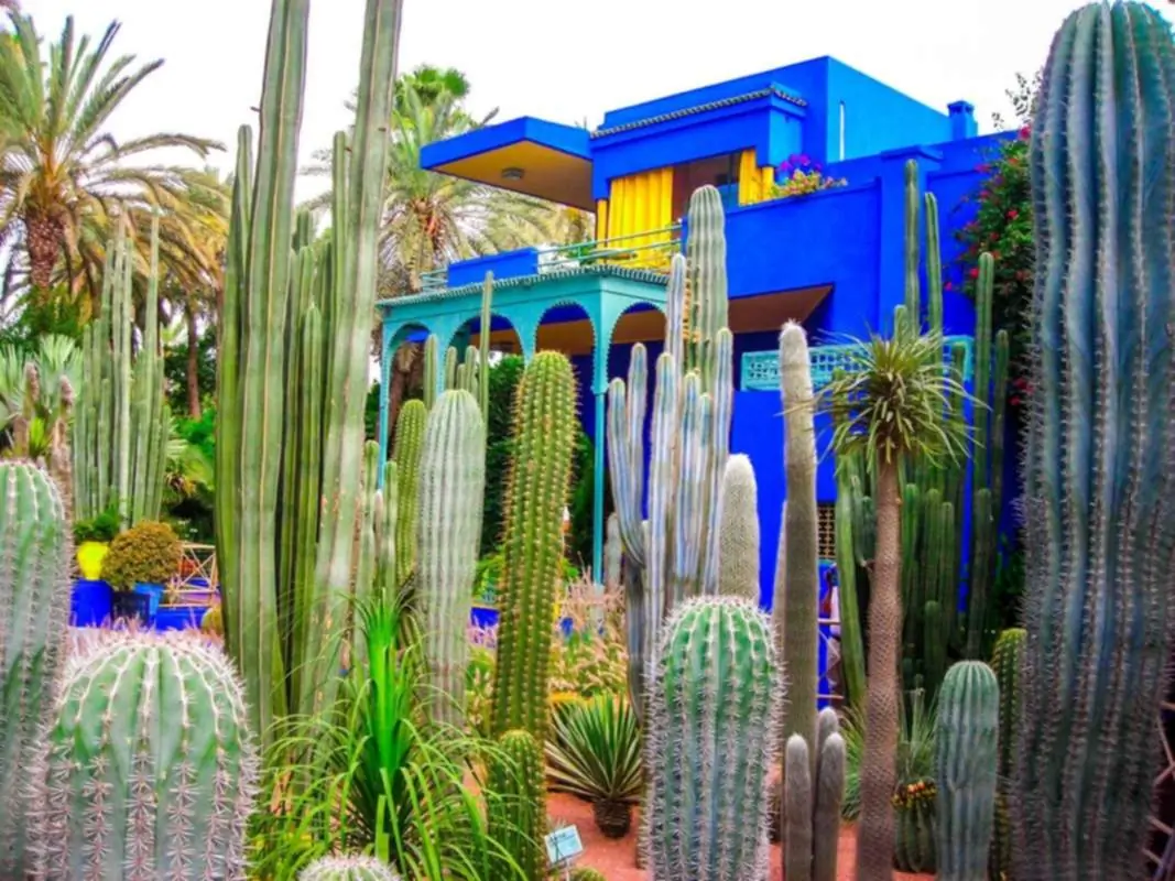 Majorelle Gärten Marrakesch
