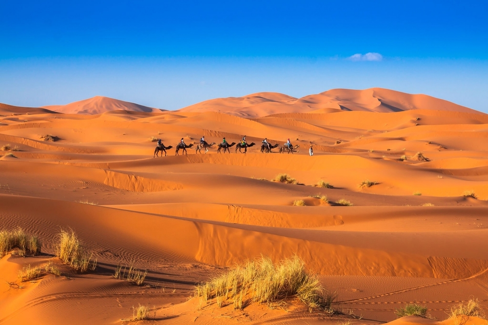 Merzouga Erg Chebbi Panorama