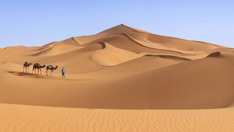 Merzouga-wueste